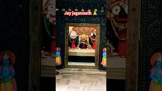 Jay jagannath #song #musicgenre #musictodayodia #song #love #worldmusicodia #music #odia #🙏🙏