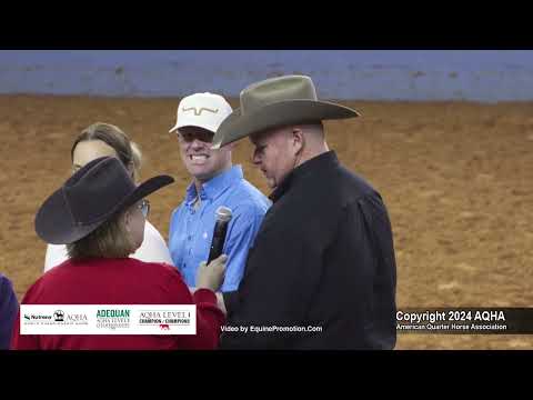 Weanling Colts - 2024 AQHA World Championship Show