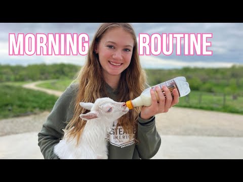 Farm MORNING ROUTINE With 20 Baby GOATS!