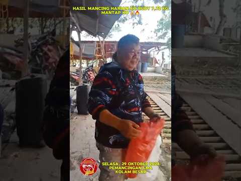 GACOR ABISS.. INI DIA HASIL MANCING HARIAN KO RUDY HAMPIR 8 KG DI PEMANCINGAN EMA