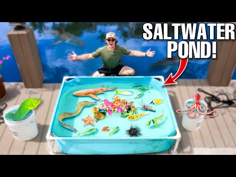 SALTWATER MINI POND Filled With EXOTIC FISH Found In Sea Monster Canal!