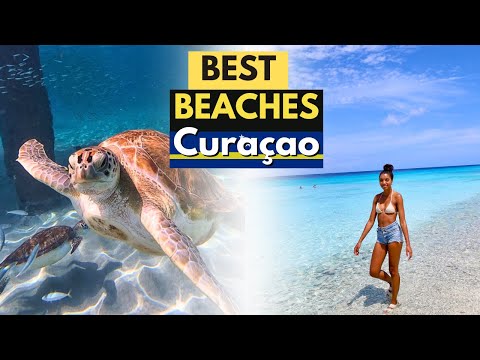 10 Best Beaches to Visit in Curacao | Curaçao Beach Guide