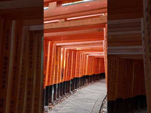 Kyoto in 15 seconds🇯🇵 #japan #shorts #kyoto #kyototrip #viralvideo