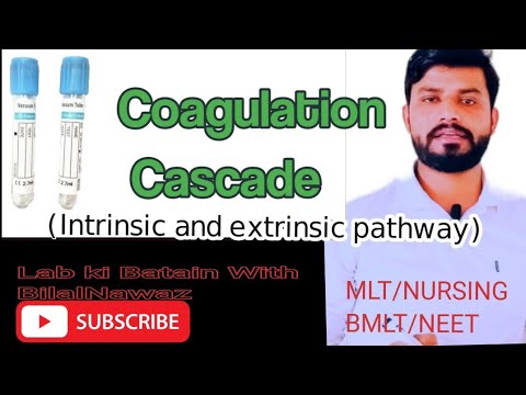 Coagulation Cascade | Intrinsic and Extrinsic pathways of coagulation