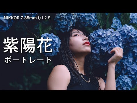 【雨天の紫陽花ポートレート】85mmで切り取る美しき世界