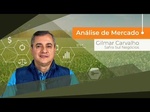 Análise de Mercado e o balanço do mercado agrícola nos Campos Gerais