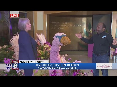 Kenny's surrounded by orchids at Cleveland Botanical Garden