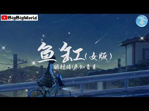 何村猪/未知音素  - 鱼缸(女版)『每当在夜深人静找不到你 你又在哪里』【 歌词字幕/完整版 】♪ BBW