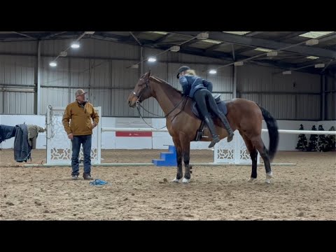 Many people have attempted to ride this beautiful Horse!