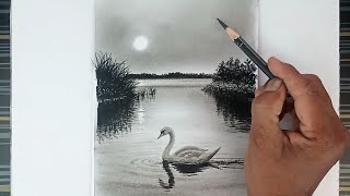 How to draw swan step by step/ how to draw sunset landscape.