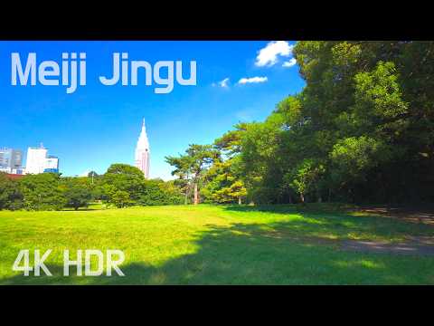 Meiji Jingu Walk in Tokyo’s Tranquil Nature | Shibuya, Japan | 4K/HDR