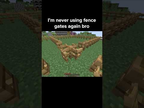 Minecraft Fence Moment