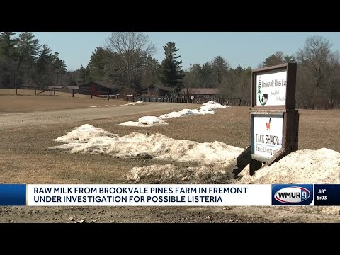 Raw milk from NH farm under investigation after cow tests positive for listeria