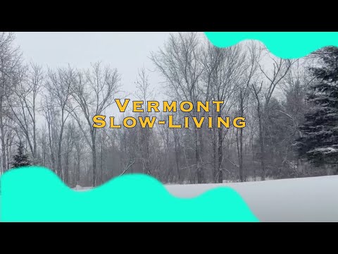 Is Vermont TOO slow and boring?