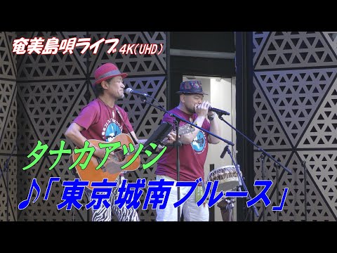 「♪東京城南ブルース」タナカアツシ in 奄美フェスタ2022