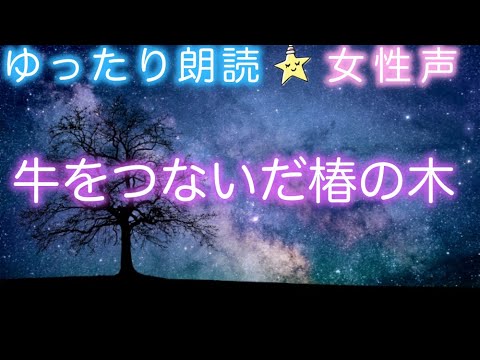 【眠れない夜に】ゆったり朗読📕『牛をつないだ椿の木』-japanese bedtime story-