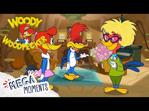 Woody's Embarrassing Mothers Day! | Woody Woodpecker | Full Episodes | Mega Moments