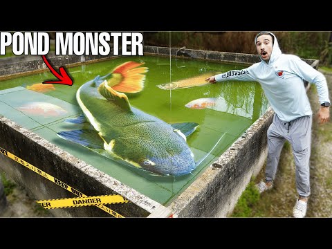 We Bought a POND MONSTER From The CREEPIEST FISH STORE We Could Find...