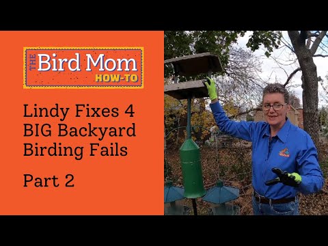 4 Birding Feeder Fails Fixed Part 2