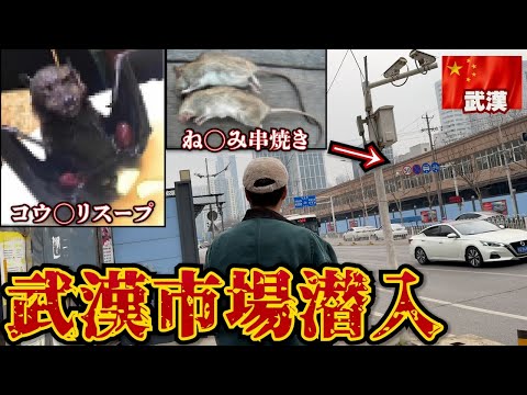 【武漢】アレの始まりの場所に行ってみたら凄い事になっていた。in中国