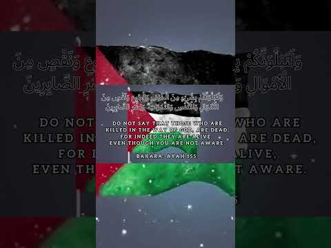 #quranicverse on #palestine