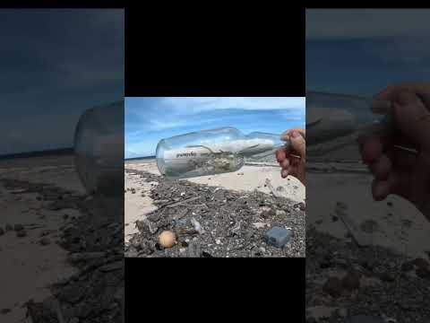 Beachcombing solo,far far away