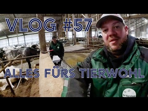 Farm-Vlog #57 Neue Tränken für die Kühe, alles für´s Tierwohl