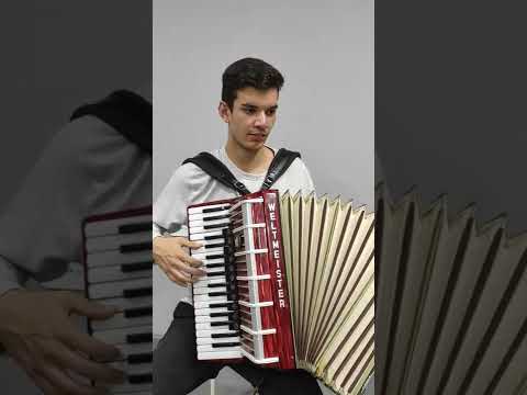 The Rake Hornpipe - SpongeBob Square Pants (accordion)