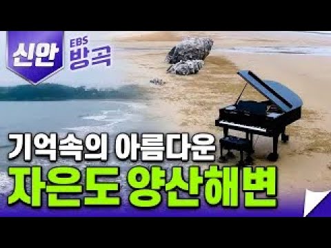 판타스틱하고 예술적인 해변의 탄생, 신안의 양산해변