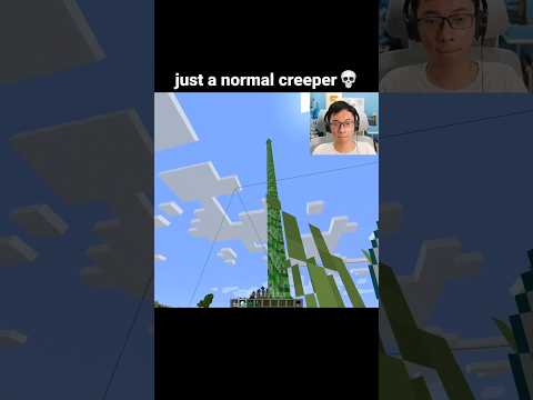 Minecraft Tall Creeper Moment