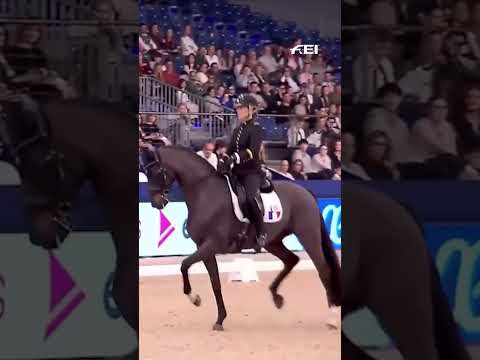 Alors on danse 🇫🇷🥰 with Pauline Basquin and Sertorius de Rima Z Ifce