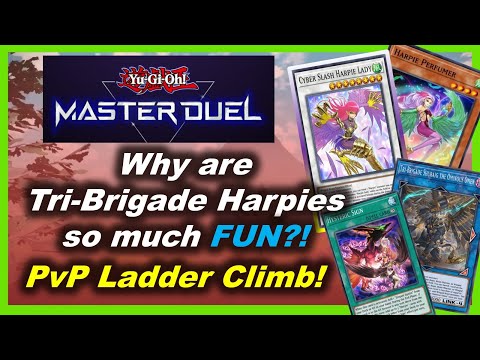 Why are Tri-Brigade Harpies so much FUN?! - Yugioh Master Duel - PvP & Ranked Matches!