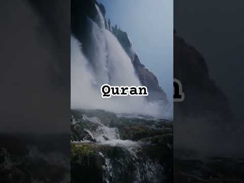 Surah Mujadilah ayat17 #islamicshorts #shortsvideo #ytshorts #whattsupstatus #quran #islamicvideo