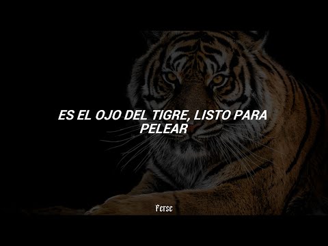 Survivor - Eye of the tiger (Sub. Español)