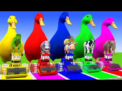 5 Giant Duck Cartoon,Cow,Elephant,Giraffe,Tiger,Lion, Paint Wild Animals Crossing Fountain Animation