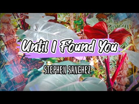 Until I Found You (Stephen Sanchez) w/ Lyrics #musiclyrics #lovesong #lyrics #untilifoundyou