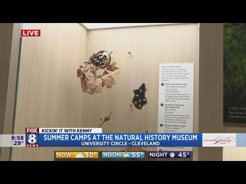 Renovated museum offers summer camps for kids of all ages