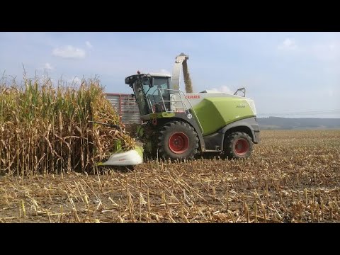 Siláže v Jevíčku 2024 | 2x Claas, Tatra, Case IH, Deutz Fahr, New Holland