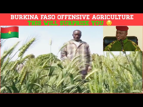 Burkina Faso:Food Sovereignty Is Here | This Achievement Is Game Changer |Importing Wheat ..