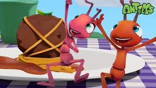 Meatball Rescue | Antiks 🐜 | Funny Cartoons for Kids