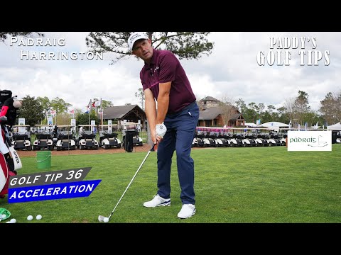 GET A BETTER STRIKE ON THE BALL WITH THIS ADJUSTMENT | Paddy's Golf Tip #36 | Padraig Harrington