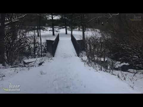 Walking near a creek on a snowy day (Nature visualizer)