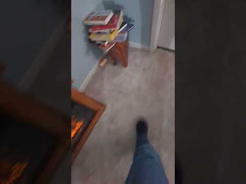 He didn't expect that #video #ohio #shorts #tiktok