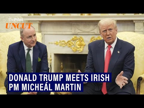 'Ireland is in the list of countries taking advantage of the US': Trump