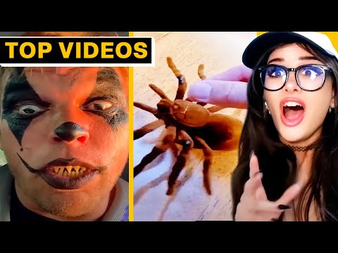 Epic Halloween Pranks to Give You Chills! | SSSniperWolf