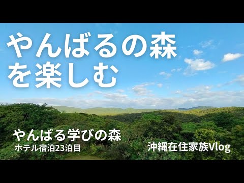 やんばる学びの森ツアー!!