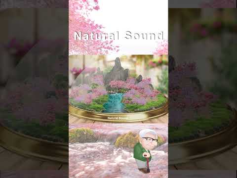 いのちの名前｜木村弓・川のせせらぎと鳥のさえずり Nature Sounds｜川の音・リラックス