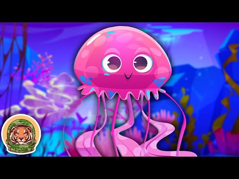 Meet The Jellyfish! | Animal Songs For Kids | KLT WILD