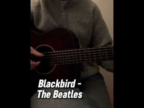 Blackbird - The Beatles #blackbird #thebeatles #guitar #song