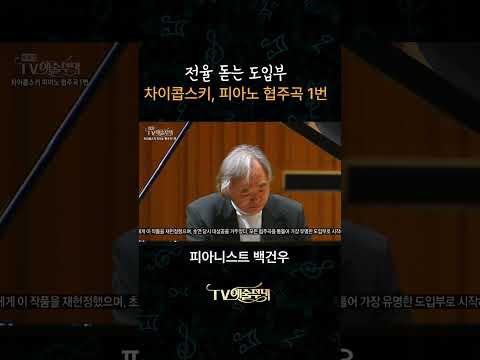 전율 돋는 도입부.. 웅장 그 자체 #차피협